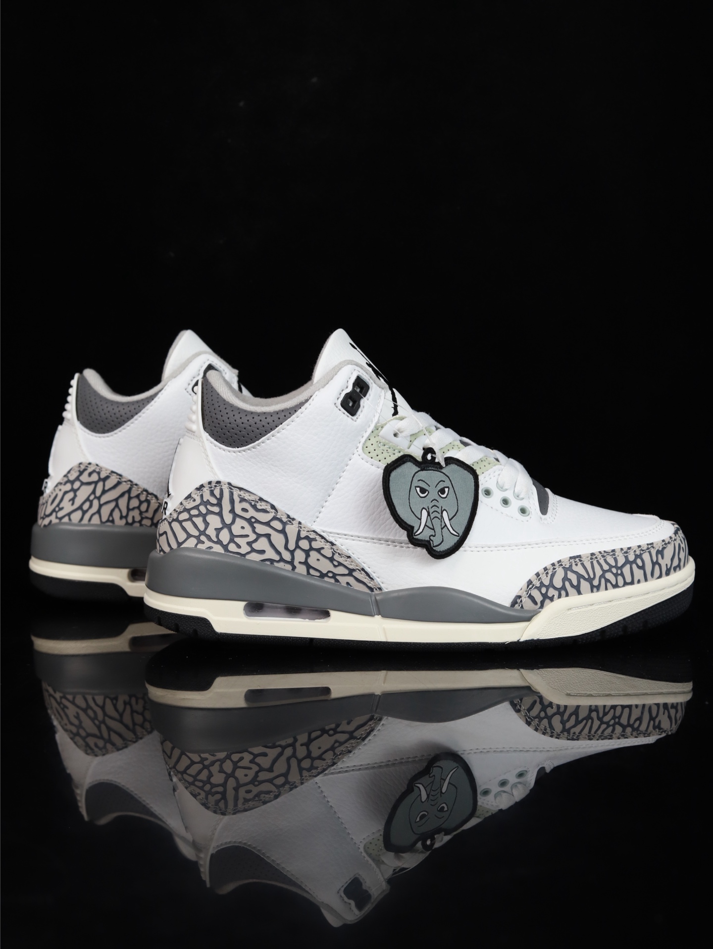 Nike Air Jordan 3 Retro GS "Hide N' Sneak"