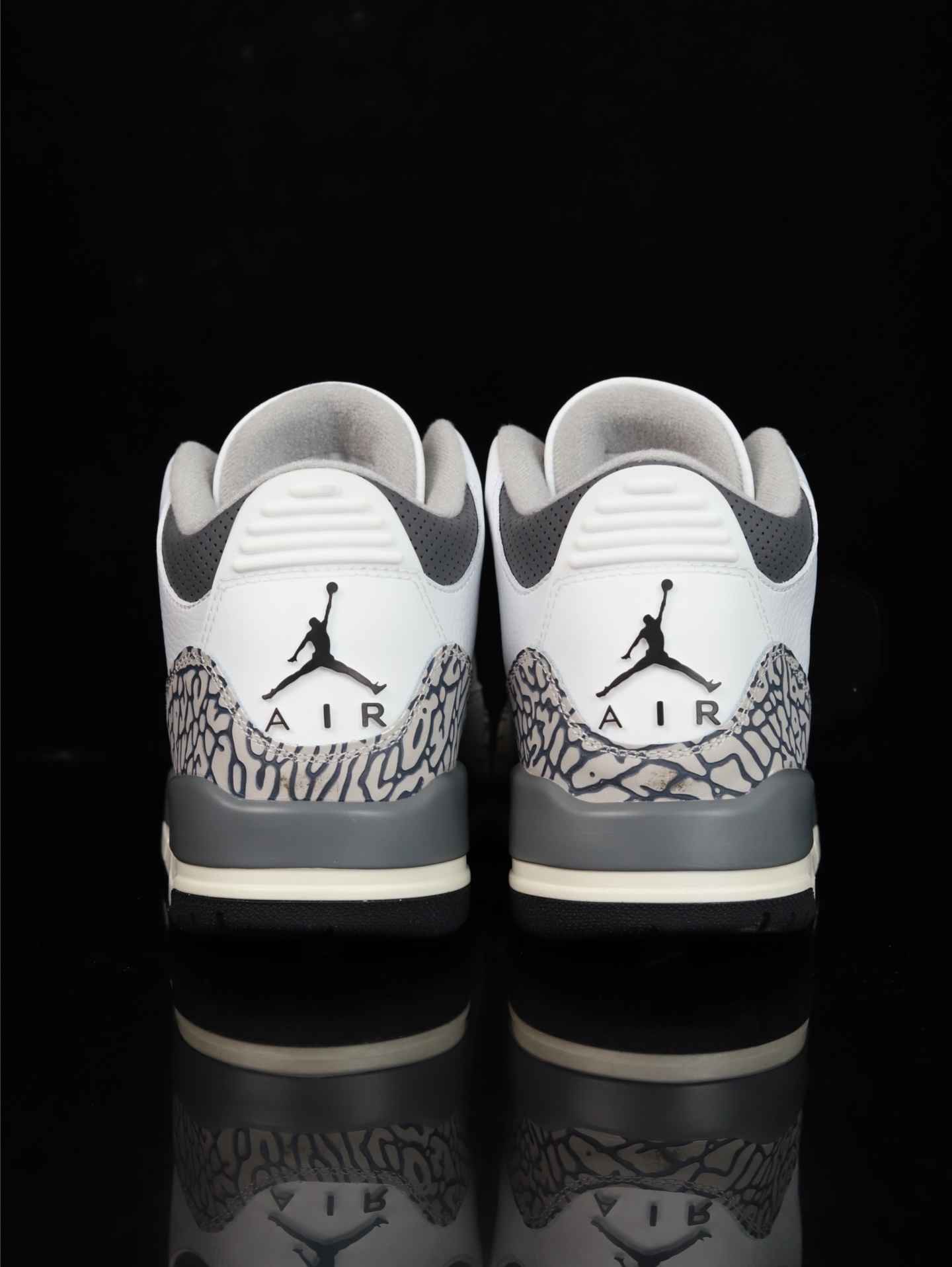 Nike Air Jordan 3 Retro GS "Hide N' Sneak"