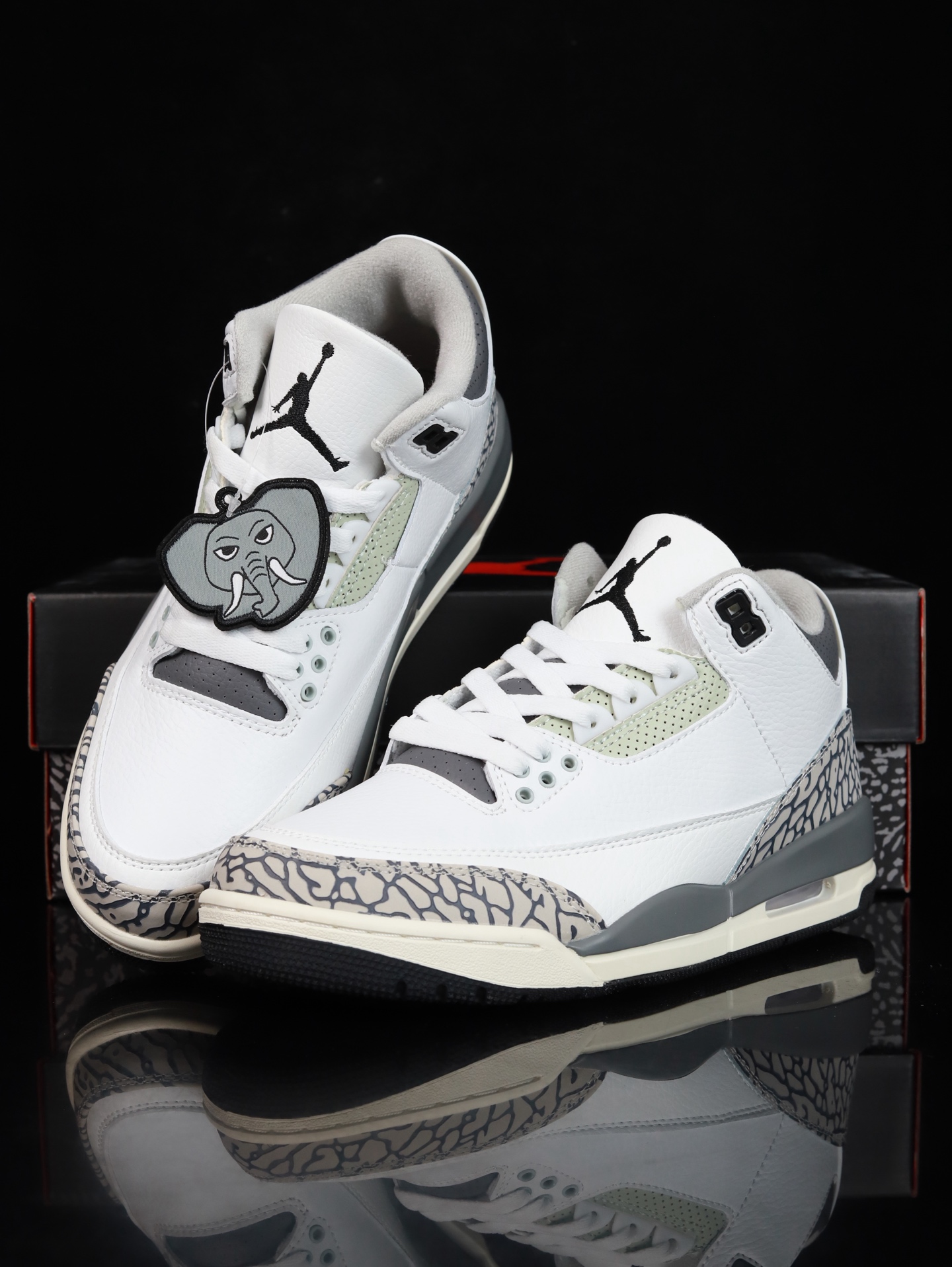 Nike Air Jordan 3 Retro GS "Hide N' Sneak"