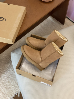 UGG boty Short 5825 chestnut